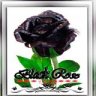 Black Rose1102